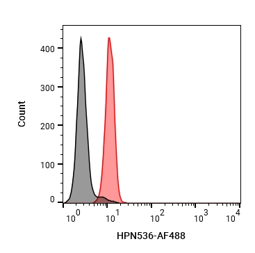 Experimental Validation Results for HPN536
