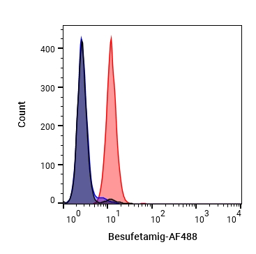 Experimental Validation Results for Besufetamig