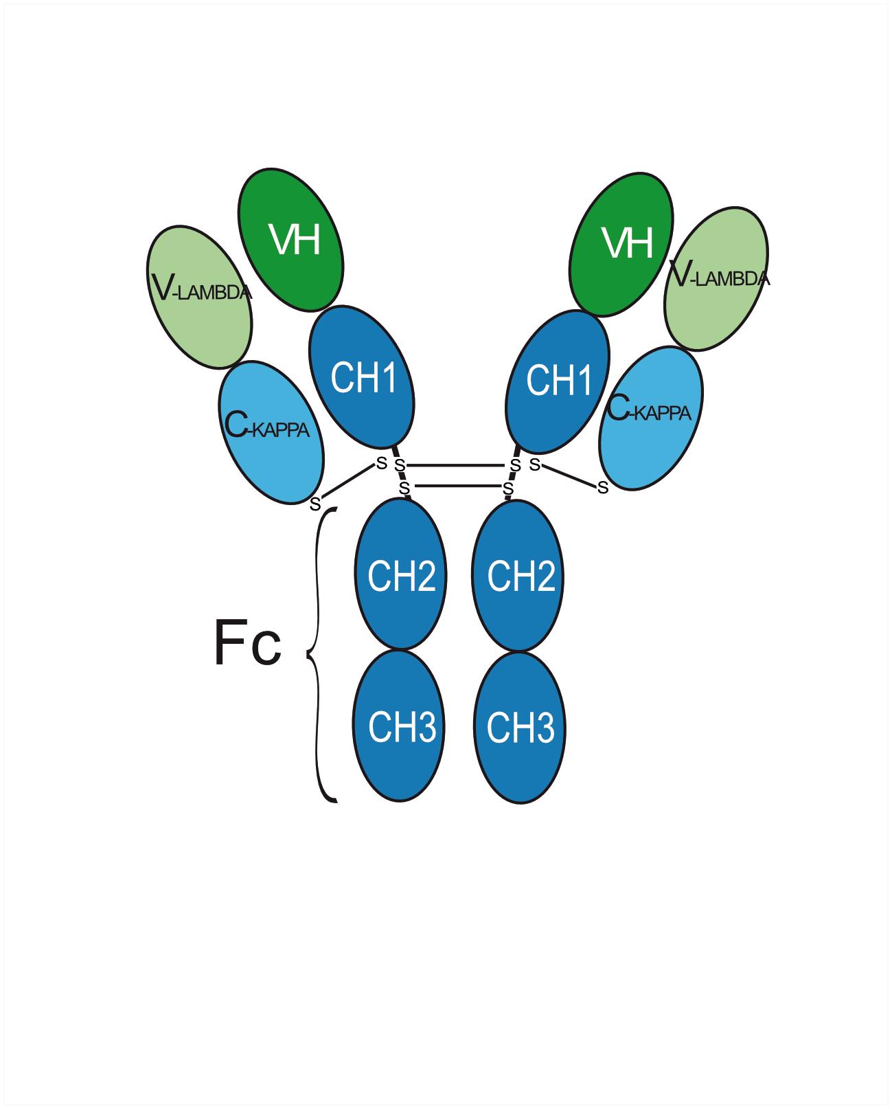 Experimental Validation Results for Rapaprutug