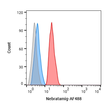 Experimental Validation Results for Nebratamig