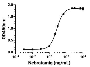 Experimental Validation Results for Nebratamig