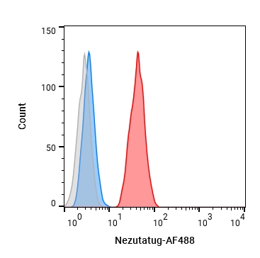 Experimental Validation Results for Nezutatug