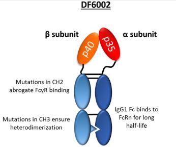 Experimental Validation Results for DF6002