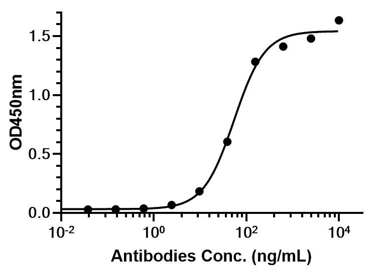 Experimental Validation Results for Anti-Mouse/Rat/Rabbit TNF alpha Antibody (TN3-19.12)