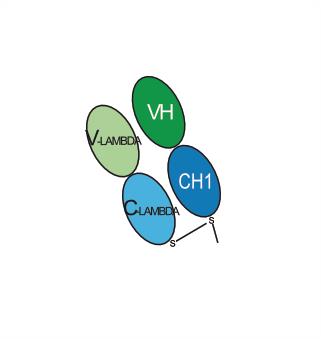 Experimental Validation Results for Sunakiment
