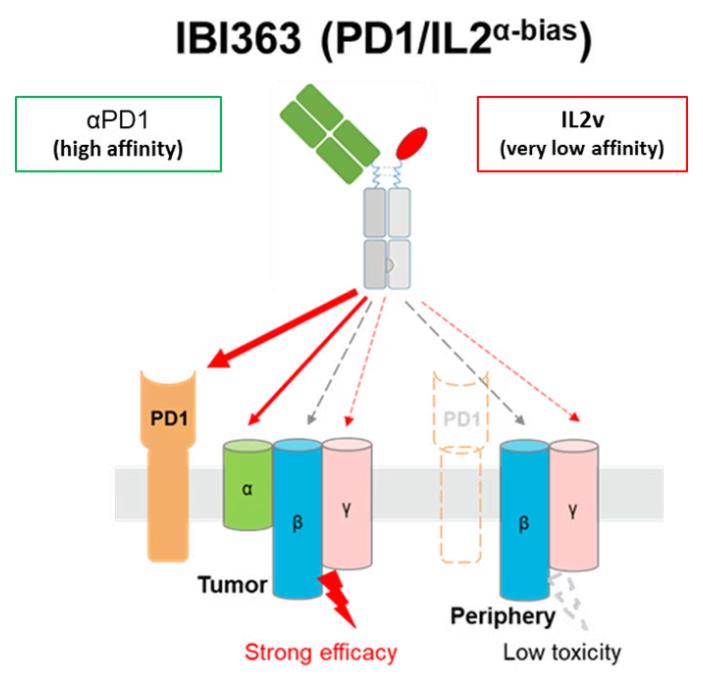 Experimental Validation Results for IBI-363