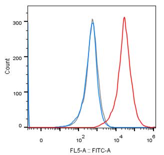 Experimental Validation Results for Durvalumab
