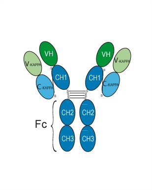 Experimental Validation Results for Lanerkitug