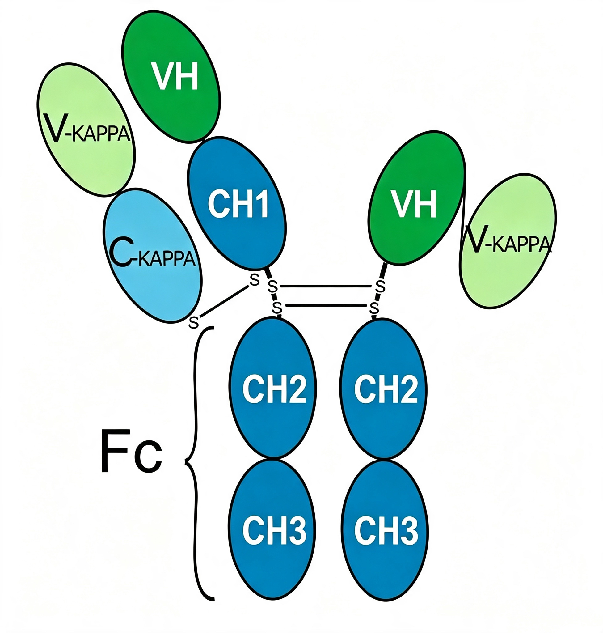 Experimental Validation Results for Vadalentamig