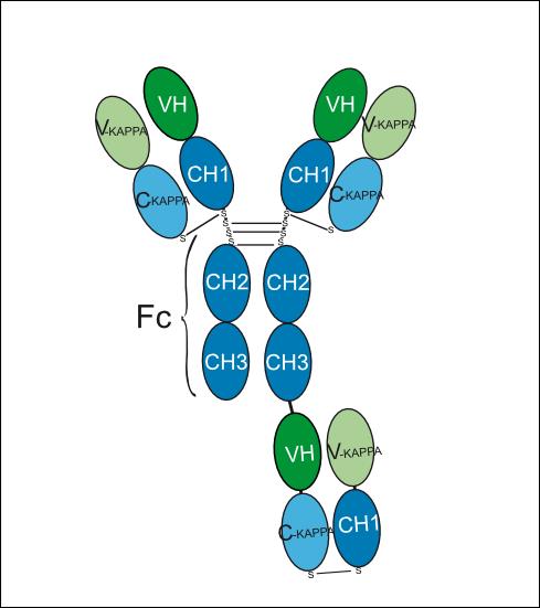 Experimental Validation Results for Zareprumig