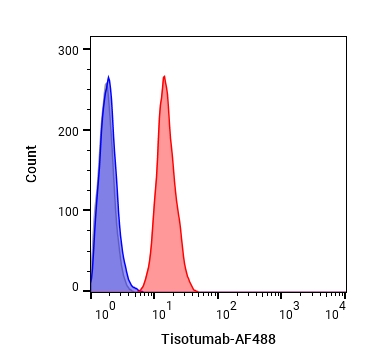 Experimental Validation Results for Tisotumab