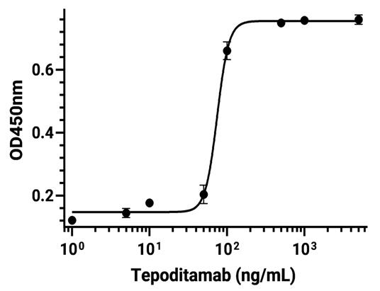 Experimental Validation Results for Tepoditamab