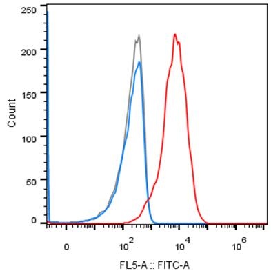 Experimental Validation Results for Talquetamab