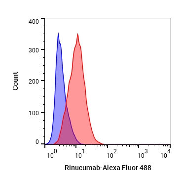 Experimental Validation Results for Rinucumab