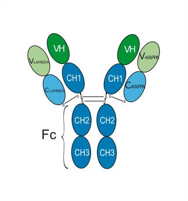 Experimental Validation Results for Acasunlimab