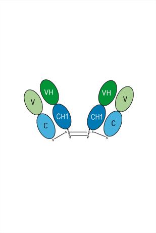 Experimental Validation Results for Igovomab