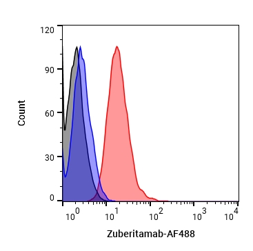 Experimental Validation Results for Zuberitamab
