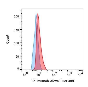 Experimental Validation Results for Belimumab