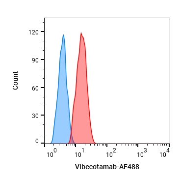 Experimental Validation Results for Vibecotamab