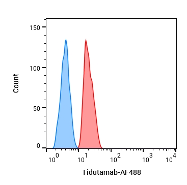 Experimental Validation Results for Tidutamab