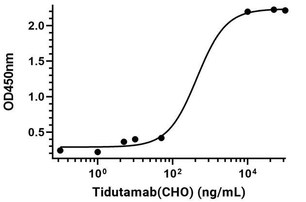Experimental Validation Results for Tidutamab