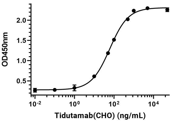 Experimental Validation Results for Tidutamab