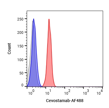Experimental Validation Results for Cevostamab