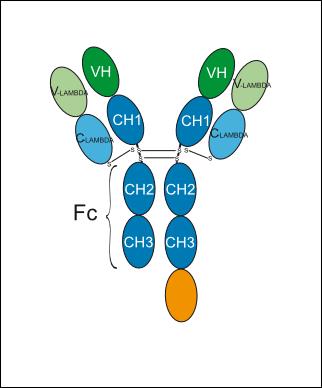 Experimental Validation Results for Latikafusp