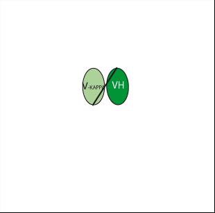 Experimental Validation Results for Licaminlimab