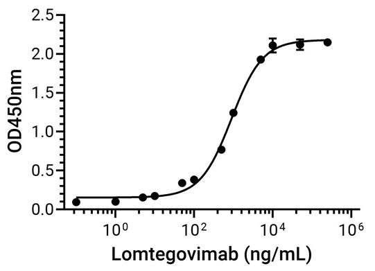 Experimental Validation Results for Lomtegovimab