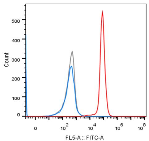 Experimental Validation Results for Theralizumab
