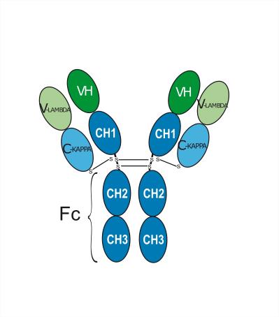 Experimental Validation Results for Olinvacimab