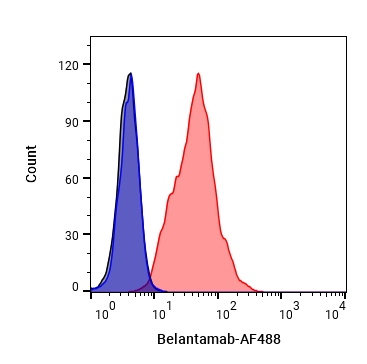 Experimental Validation Results for Belantamab