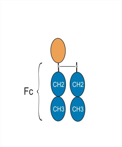 Experimental Validation Results for Efineptakin alfa