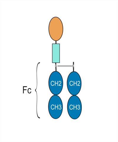 Experimental Validation Results for Efpegsomatropin