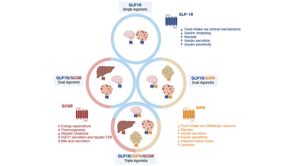 glutathione long covid reddit Evaluation of in Spike Protein of SARS-CoV-2 Induced Immunothrombosis and Cytokine Dysregulation Selenomethionine Inhibited RSV Infection-Induced Apoptosis