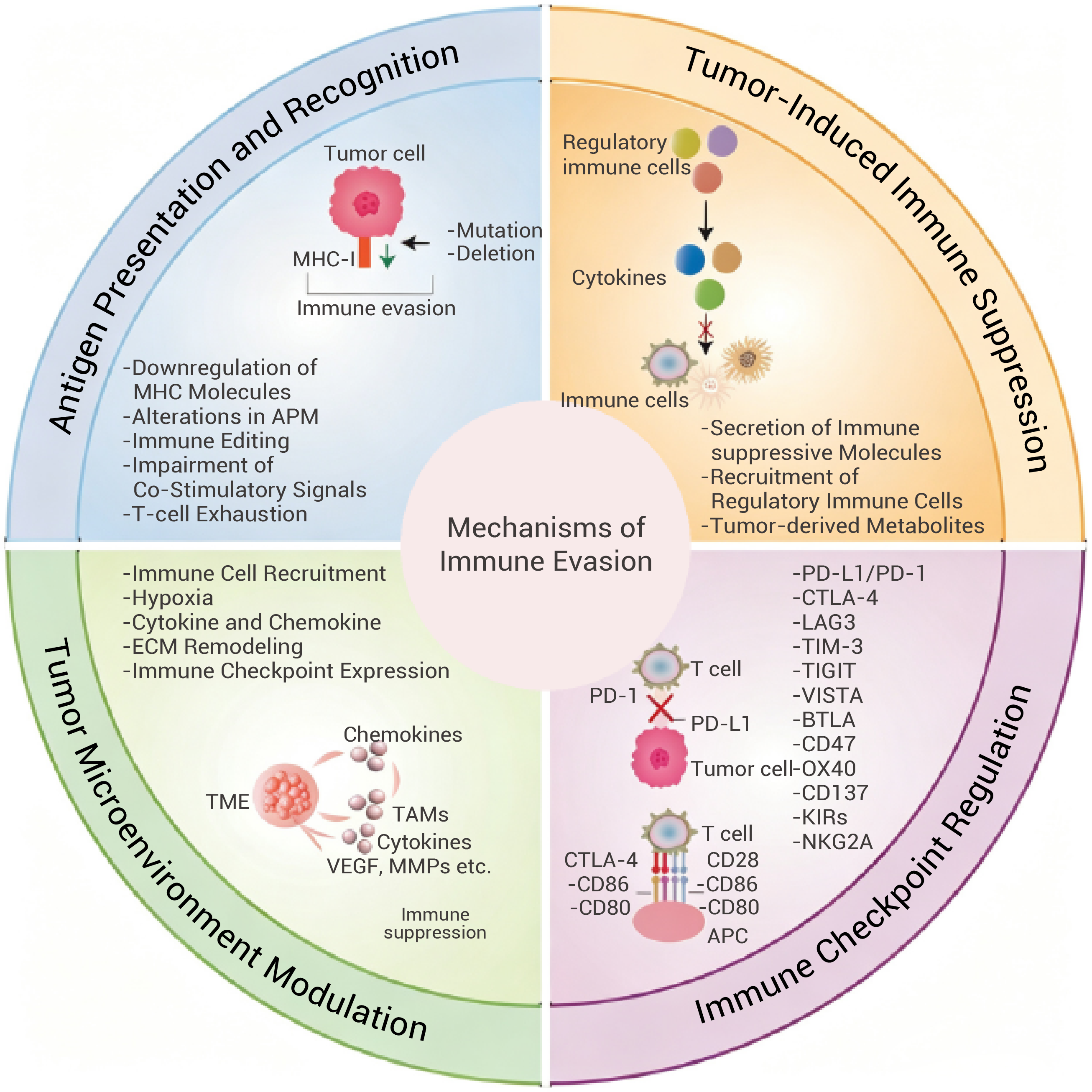 glutathione diarrhea reddit Beyond One Brake: How Tumours Dynamically Rewire the Immune Checkpoint Network GHK-CU - 50mg Coligen Select a pack:1 MONTH PACK