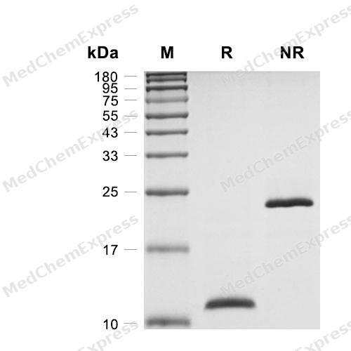 how to reconstitute glutathione 1200 mg Reconstitution of mitotic chromatids with a minimum set of purified factors