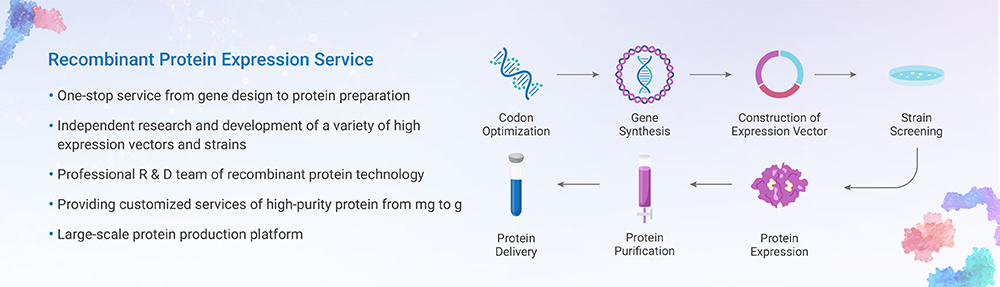 Recombinant Protein Expression Service