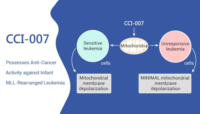 CCI-007 Possesses Anti-Cancer Activity against Infant MLL-Rearranged Leukemia