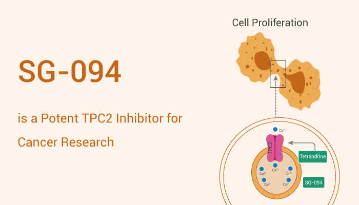 SG-094 is a Potent TPC2 Inhibitor for HCC Reasearch